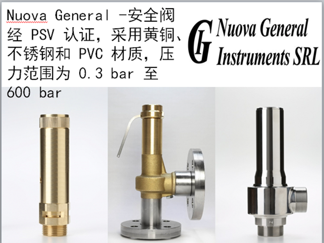 Nuova General安全阀-45.png